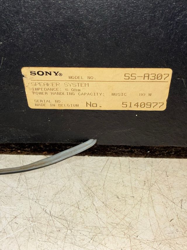 Altavoces Sony SS-A307
