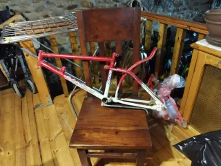 Bicicleta Clásica