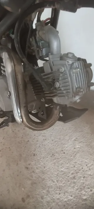 Pit bike Motocross 125cc