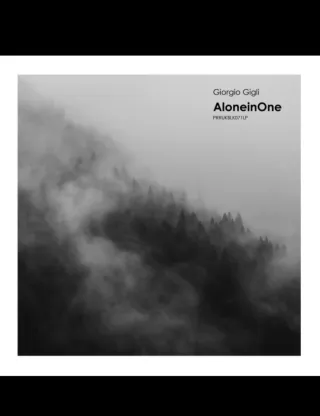 2 Vinilos Techno VG+