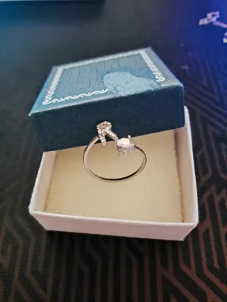 Anelli e bracciali (descrizione)