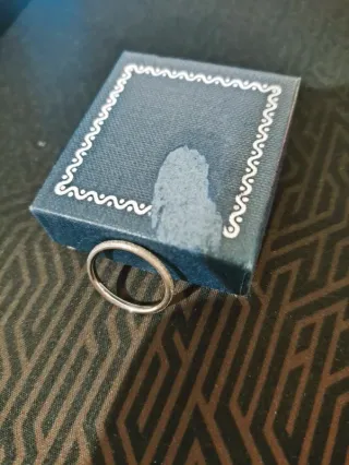 Anelli e bracciali (descrizione)