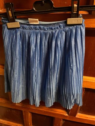 Falda plisada azul niña