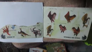 Álbum El Mundo de Furia Panrico