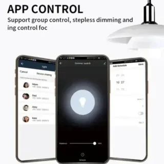 INTERRUPTOR REGULADOR DE INTENSIDAD