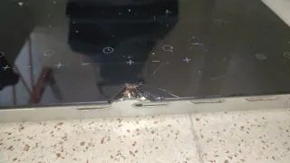 Piani cottura Cecotec Original, funziona molto bene