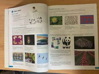 Educación Plástica, Visual y Audiovisual II. Se...