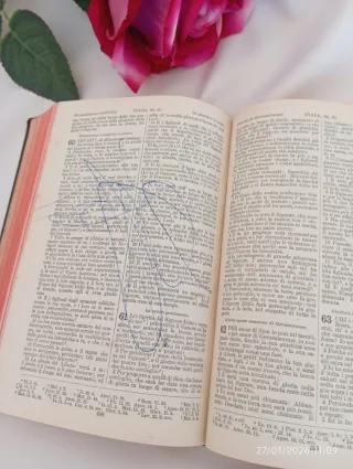 Collezionionismo libri antichi La Sacra Bibbia