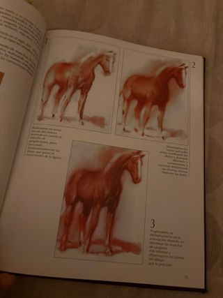 Dibujo/ Drawing: Fundamentos-materiales-tecnica...