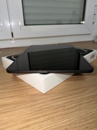 Ipad Pro M4 11", 256 gb,2 fundas y protector.