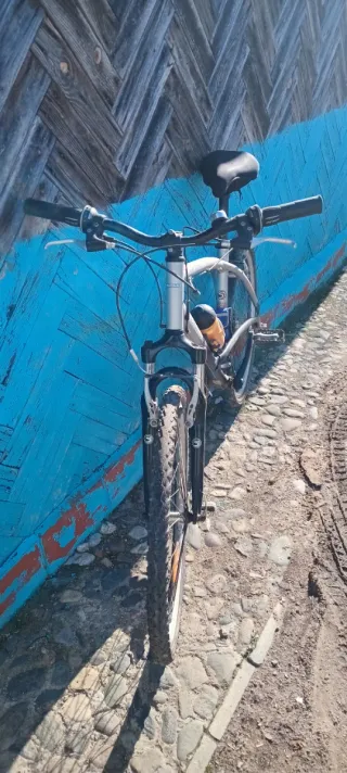 Bicicleta de montaña plateada