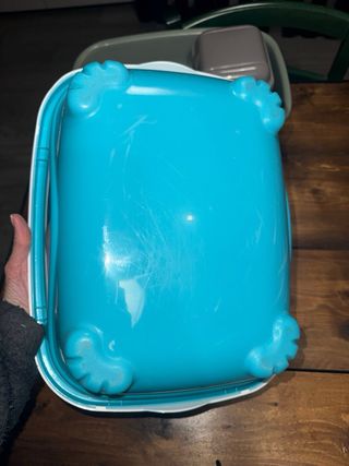 Lettiera per gatti blu e bianca