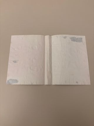 zero wing sega mega drive eur