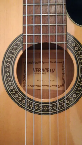 Guitarra Veracruz con funda rígida