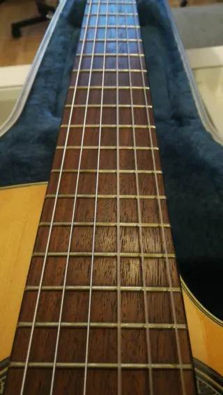 Guitarra Veracruz con funda rígida