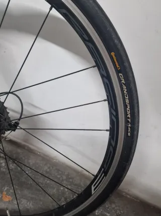 Bianchi Sempre Pro Talla 59