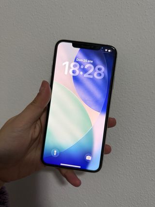 iPhone 11 Pro Max Plata/Gris Espacial