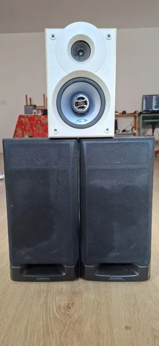 Altavoces Pioneer + pequeño
