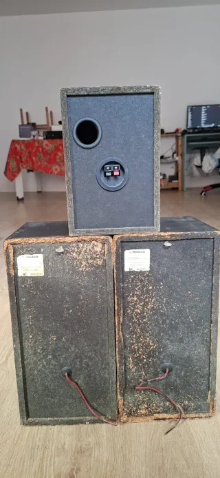 Altavoces Pioneer + pequeño