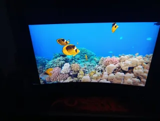 Monitor MSI Curvo 32" 2K 165Hz