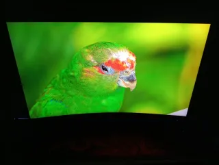 Monitor MSI Curvo 32" 2K 165Hz