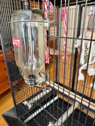 Jaula grande para loros y aves