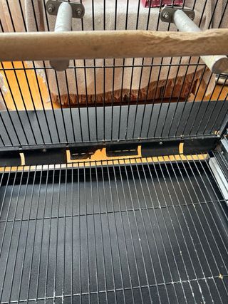 Jaula grande para loros y aves