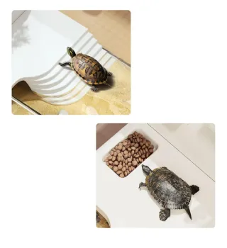 Tortuguera con rampa y comedero