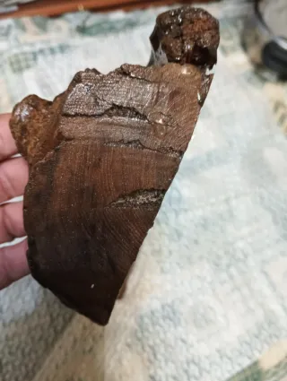 Talla relieve dentro de tronco de madera de teca