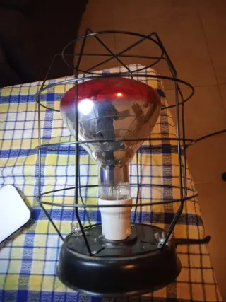 Bombilla Infrarroja con Jaula Protectora