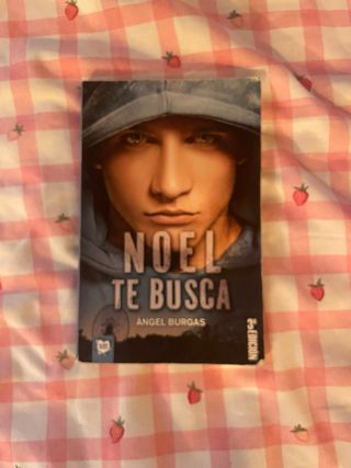 Libro Noel te busca (Castellano)