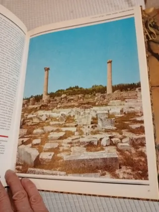 Arqueología De Las Ciudades Perdidas: Las Ciuda...