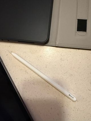 iPad Pro 11 (2ª Gen) WiFi+Celular