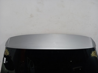 PORTON TRASERO VOLKSWAGEN PASSAT VARIANT (3G5) CR