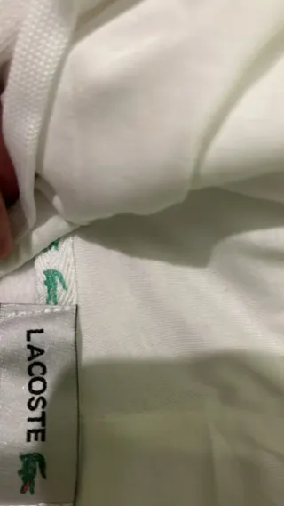 Conjunto Chándal Lacoste Blanco