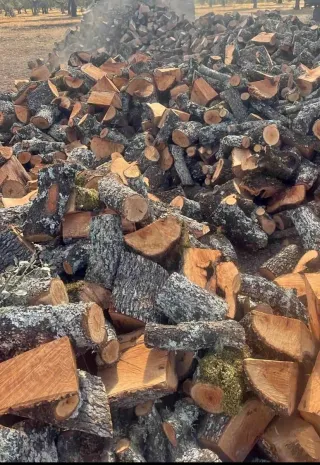 Leña de carrasca para chimenea o barbacoa