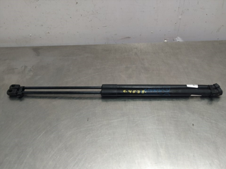 AMORTIGUADORES MALETERO / PORTON FORD FIESTA (CE1