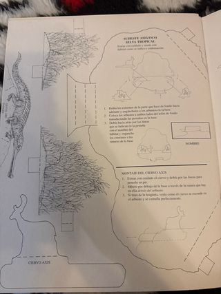 Libros en acción: Animales del Zoo para montar 3D