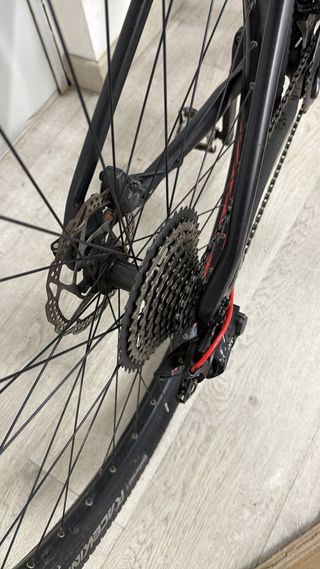 FOCUS RAVEN Bicicleta Montaña