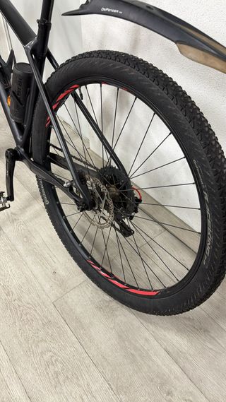 FOCUS RAVEN Bicicleta Montaña