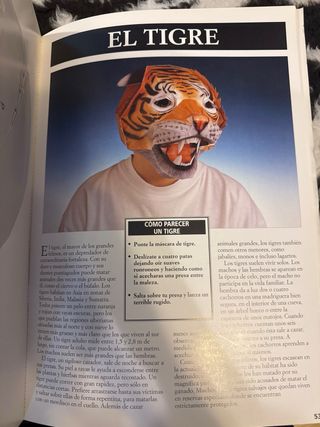 Máscaras de animales: 5 modelos