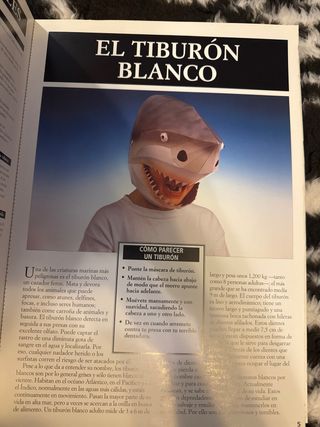 Máscaras de animales: 5 modelos