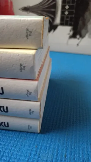 Manga Maison Ikkoku 1 al 10 completo