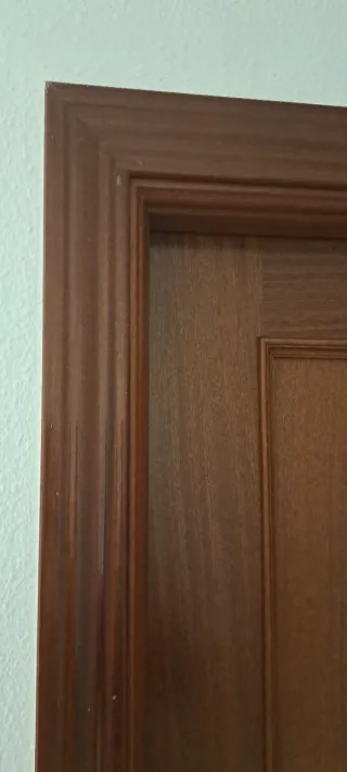 Puerta interior madera