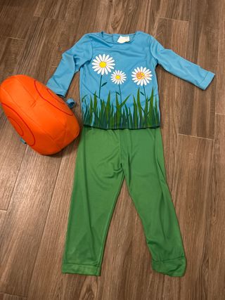 Disfraz infantil Caracol 7 a 9 años