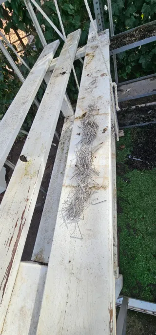 Invernadero metálico con estanterías