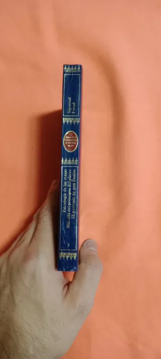 Sigmund Freud Psicologia de las masas