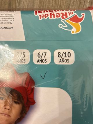 Disfraz Pintor Infantil Carnaval 6/7 años