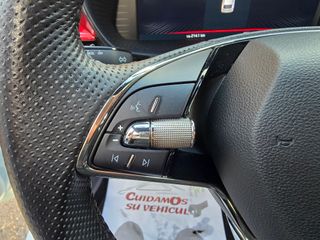 Skoda Fabia 1.0 TSI 110CV DSG MONTE CARLO