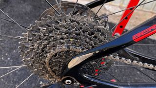 Bici Berria Bravo BR 7 Carbono edicion especial